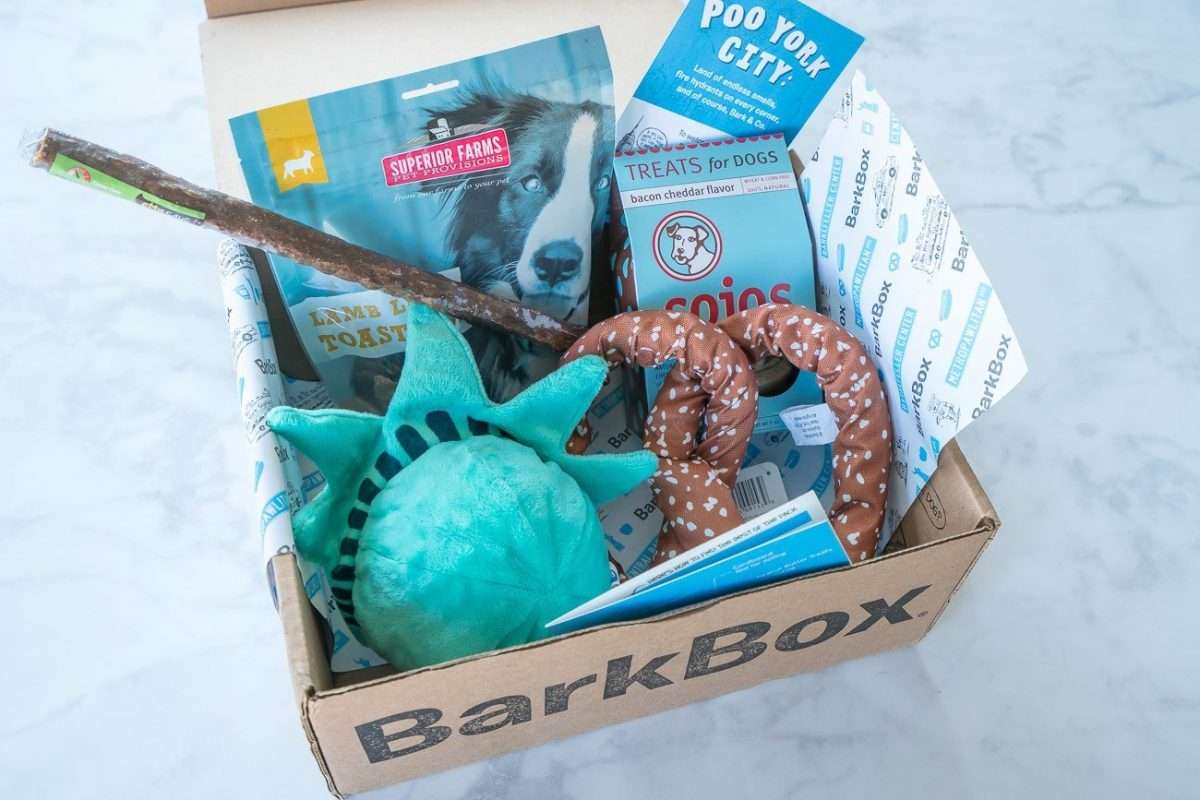 what-does-barkbox-do-for-birthdays-birthdaytalk